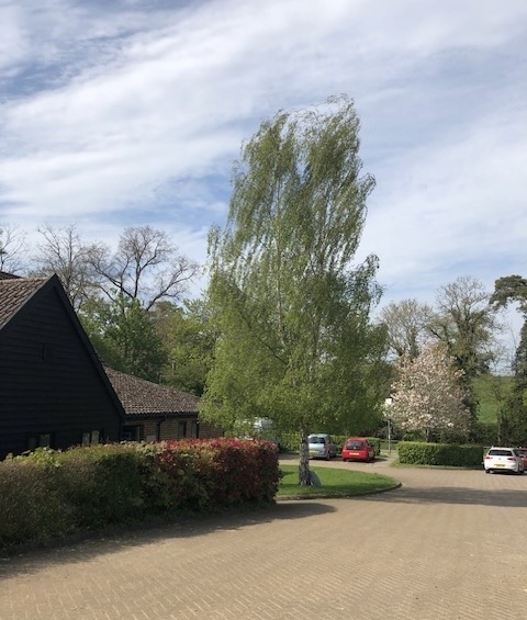 VILLAGE HALL 4966