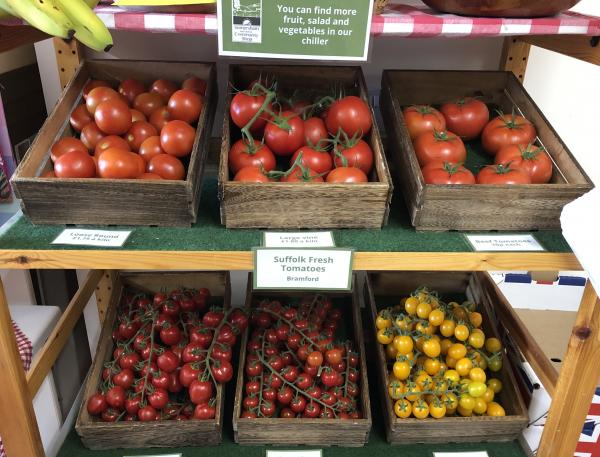 Tomatoes from Suffolk Fresh at Bramford