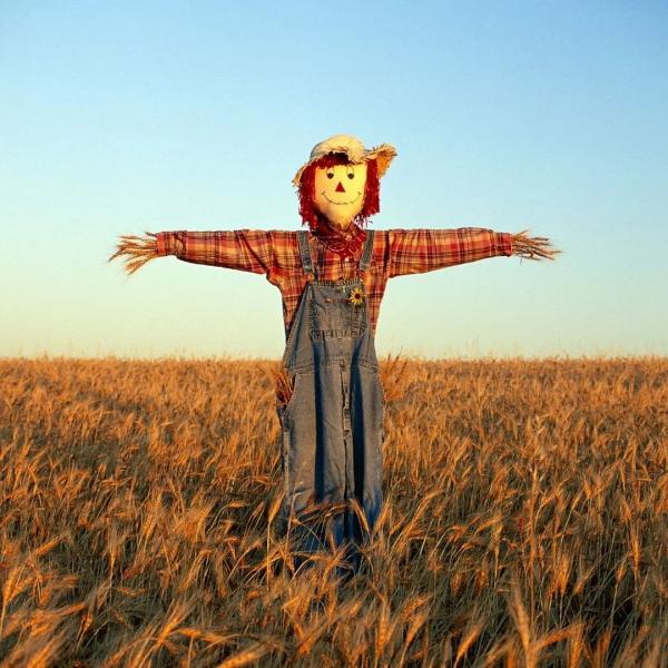 Scarecrow 